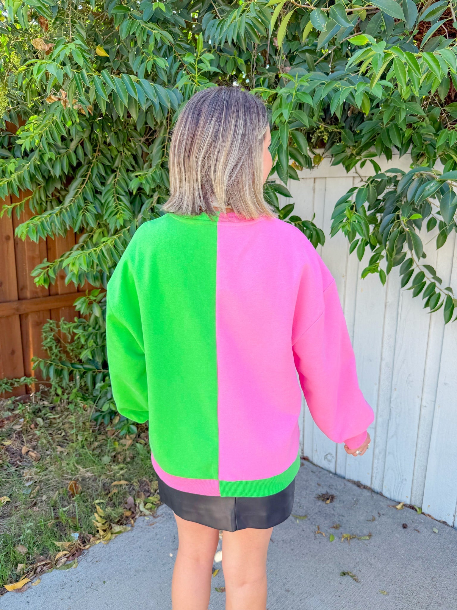 Licensed Colorblock Character Profile Sweatshirt -Pink/Green